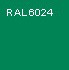 RAL 6024